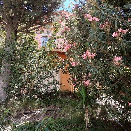 Bel Appartement Bord De Mer Cerbere Bagian luar foto
