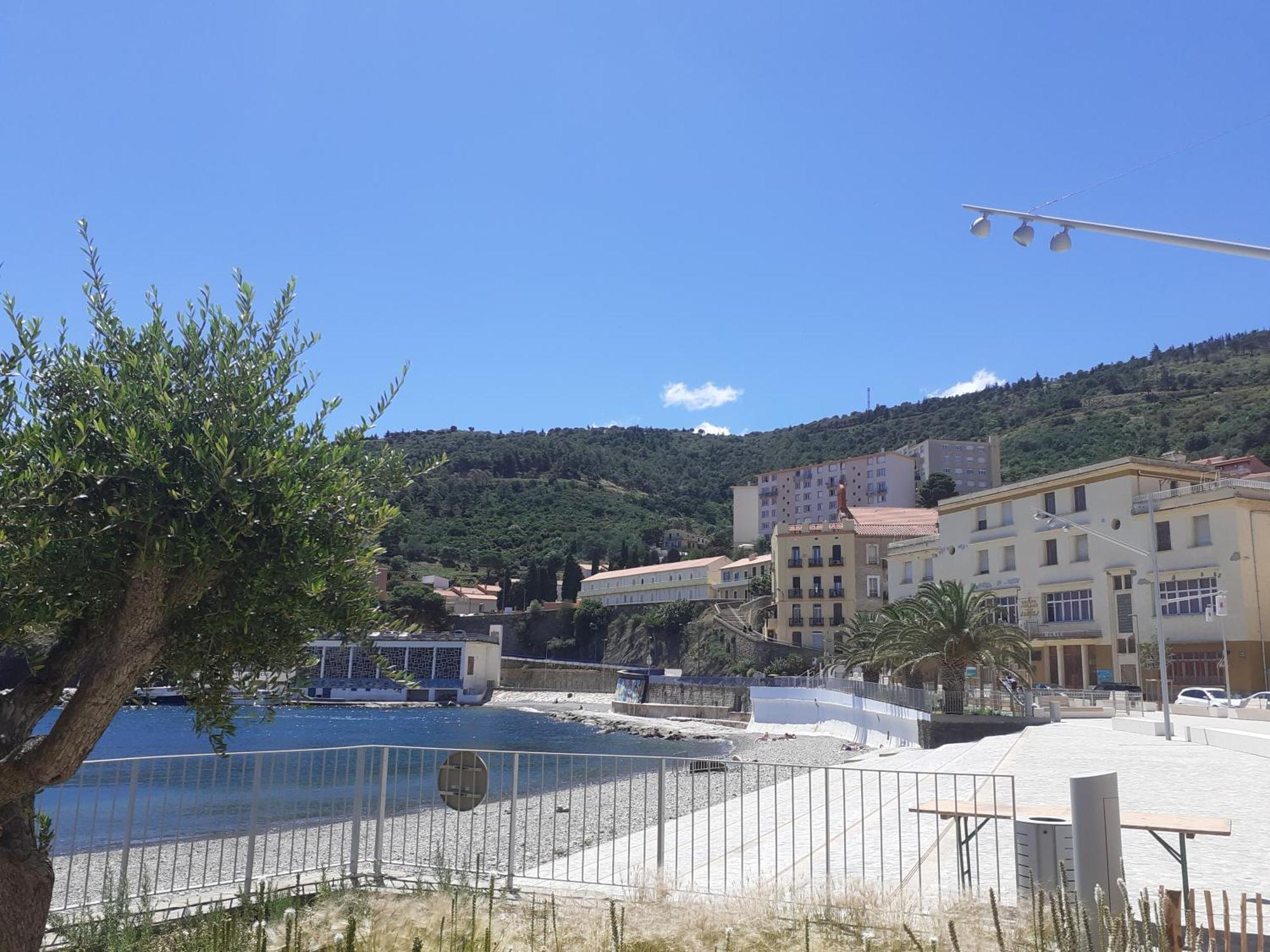 Bel Appartement Bord De Mer Cerbere Bagian luar foto