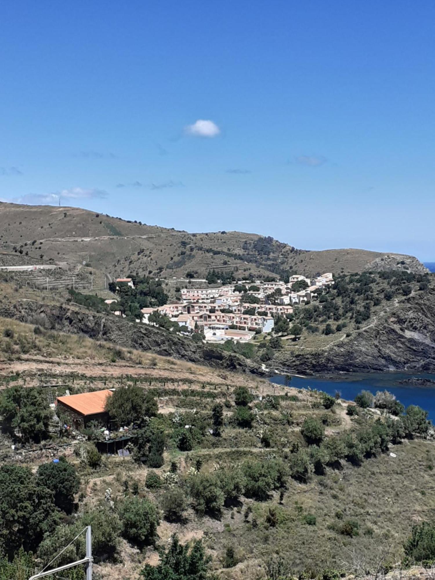 Bel Appartement Bord De Mer Cerbere Bagian luar foto