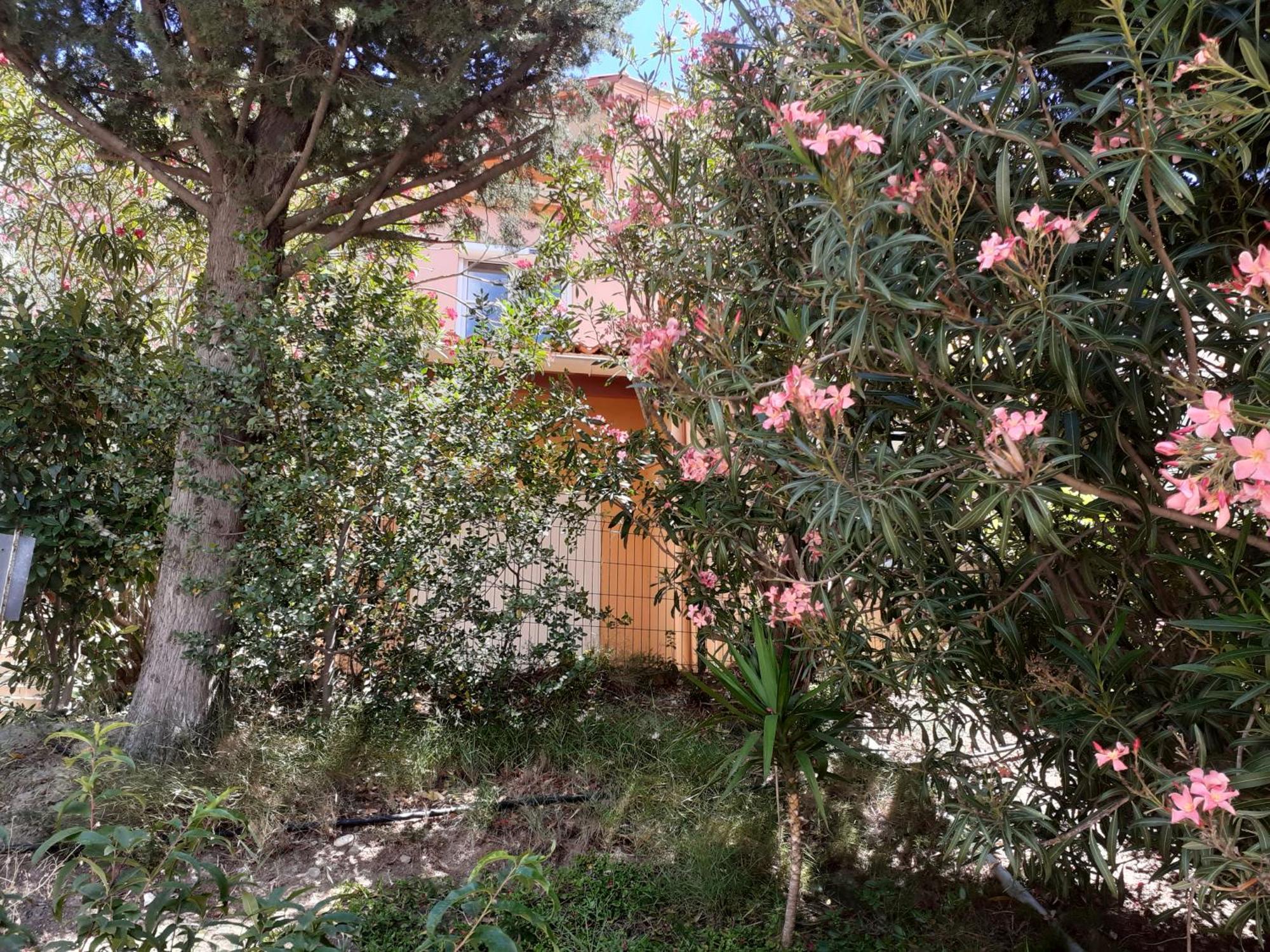 Bel Appartement Bord De Mer Cerbere Bagian luar foto