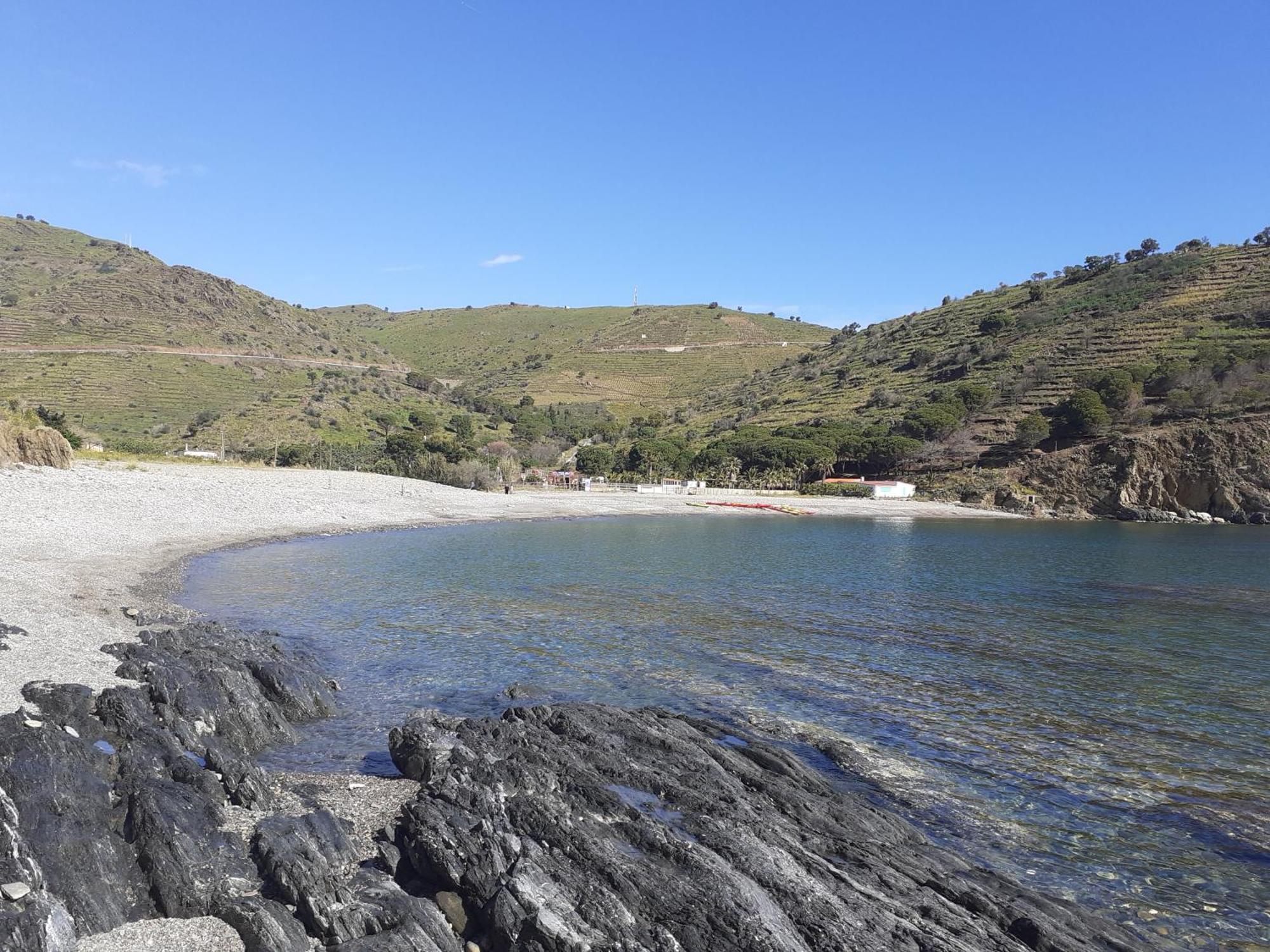 Bel Appartement Bord De Mer Cerbere Bagian luar foto